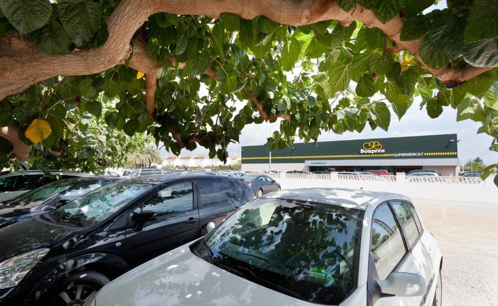 Apartamentos Els Romers Benicarlo-Peñíscola Buitenkant foto